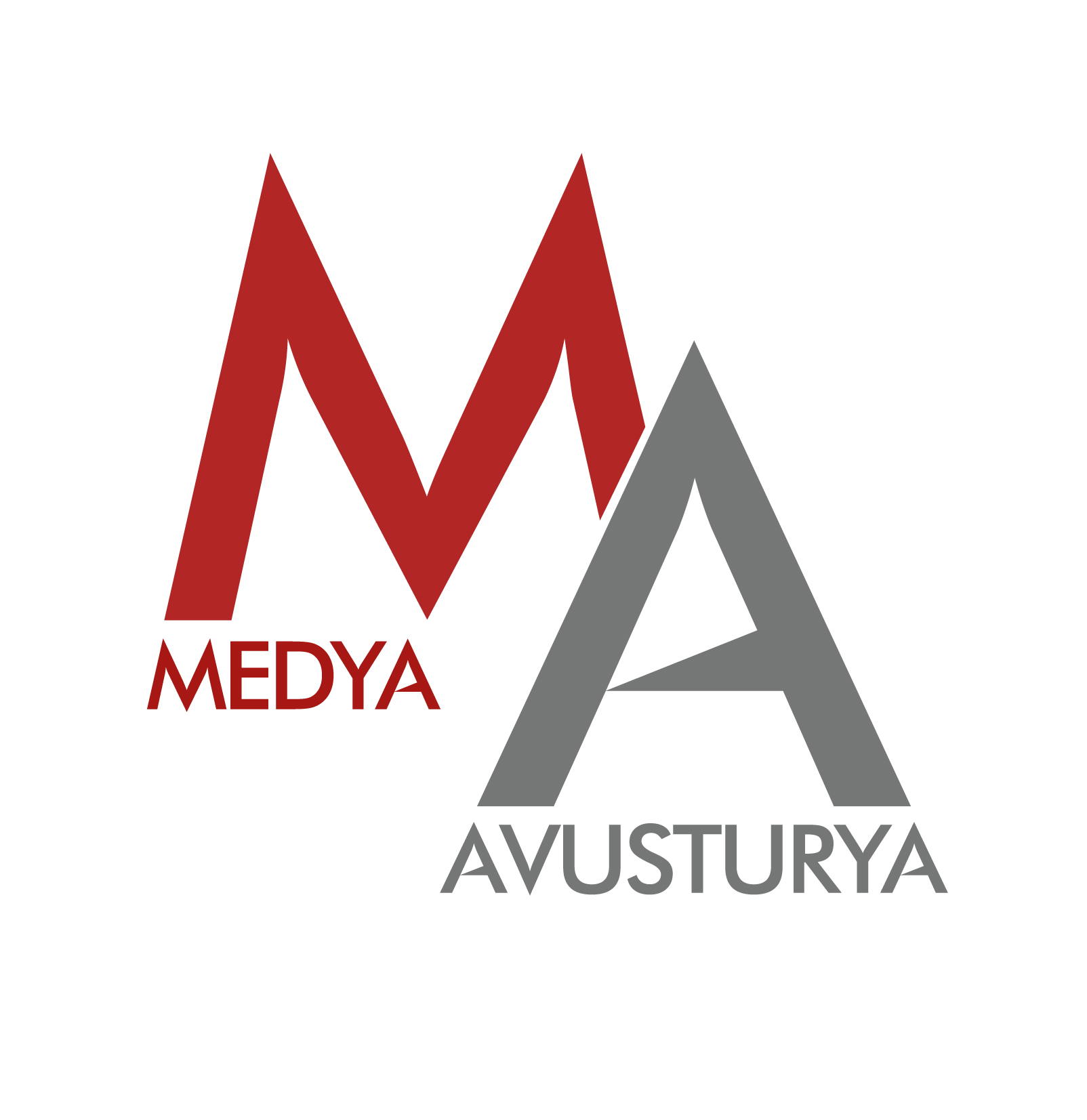 www.medyaavusturya.at